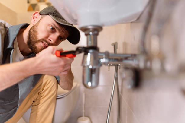 Best Sump Pump Installation and Repair  in Algonac, MI